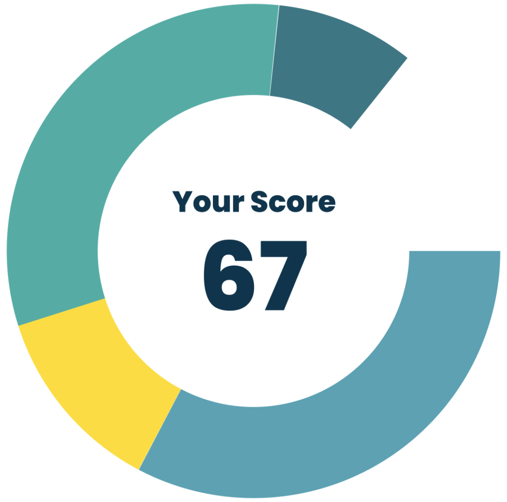 DORA Score from Digital Detox.